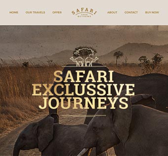 Safari 2